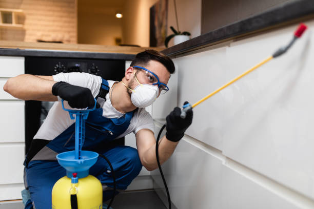 Best Rat Extermination Near Me  in Rosedale, CA