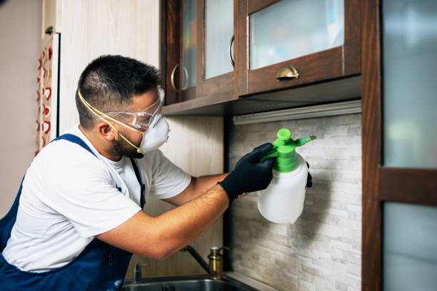 Best Best Pest Control Near Me  in Rosedale, CA