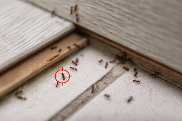 Best Wildlife Control Services  in Rosedale, CA