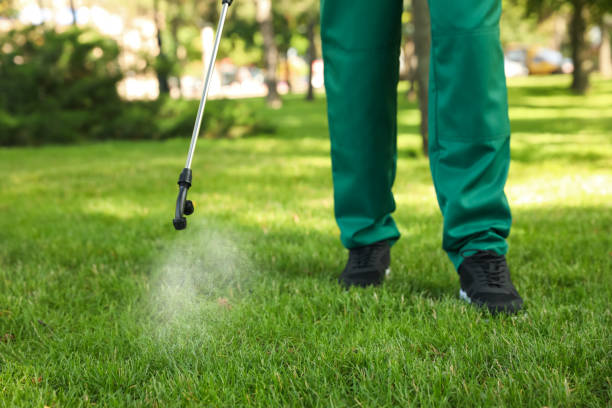 Best Pest Inspection Near Me  in Rosedale, CA