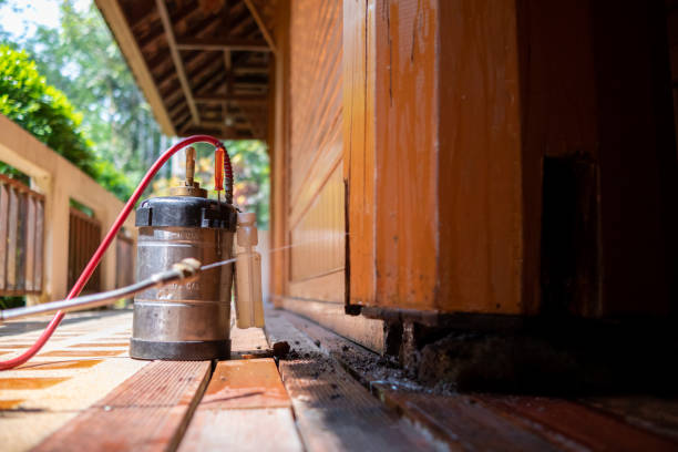 Best Best Pest Control Companies  in Rosedale, CA