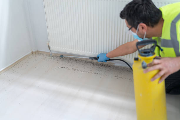 Best Pest Control for Homes  in Rosedale, CA