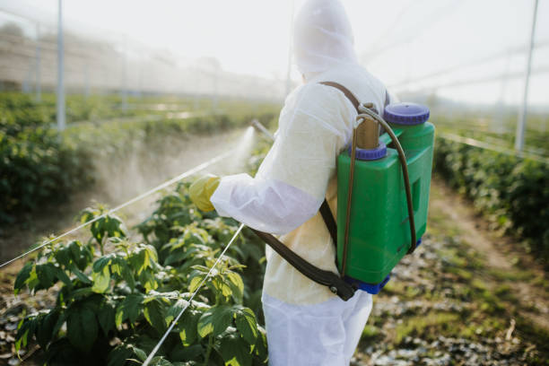 Wildlife Control Services in Rosedale, CA